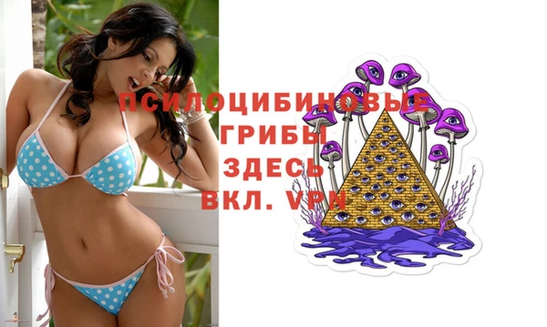 стафф Богданович